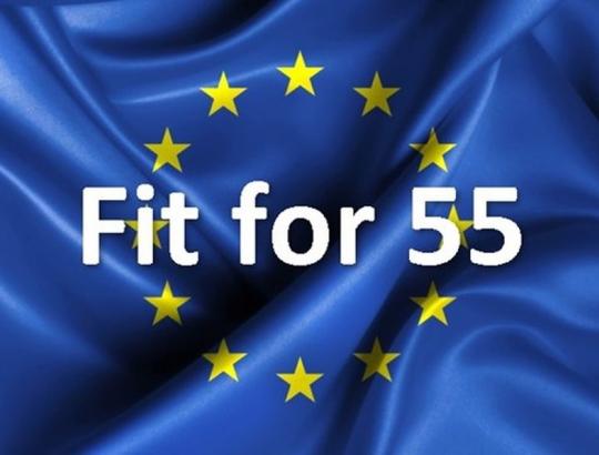 Seimo KRK akiratyje - EK teisinių iniciatyvų paketo „Fit for 55“ aptarimas