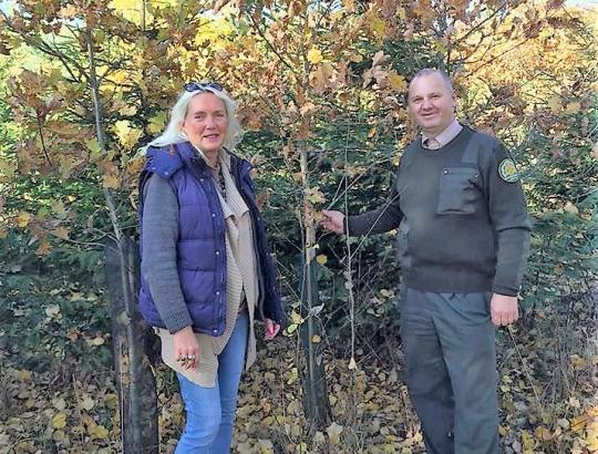 Vyksta konkurso „Pavyzdingai tvarkoma privati miško valda 2018“ dalyvių valdų apžiūra (2)