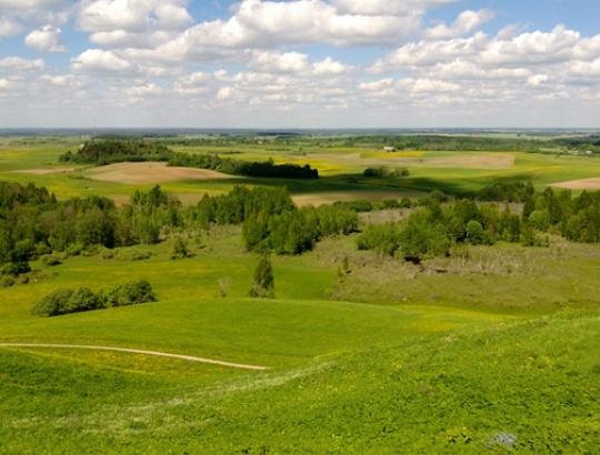 INTEGRAL projektas įvardija miškingo kraštovaizdžio valdymo problemas
