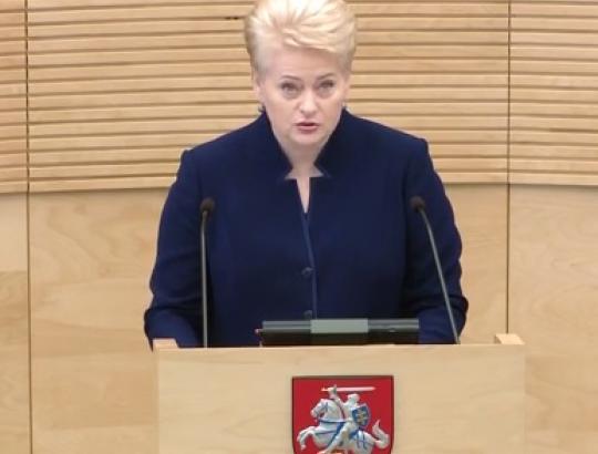 Prezidentė D.Grybauskaitė: priimami įstatymai vis dar matuojami "medžiotojų būrelio gerovės matu"