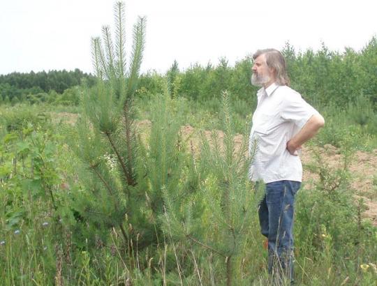 ES parama: nuo 2008-ųjų nauju mišku apželdinta apie 7,5 tūkst. ha