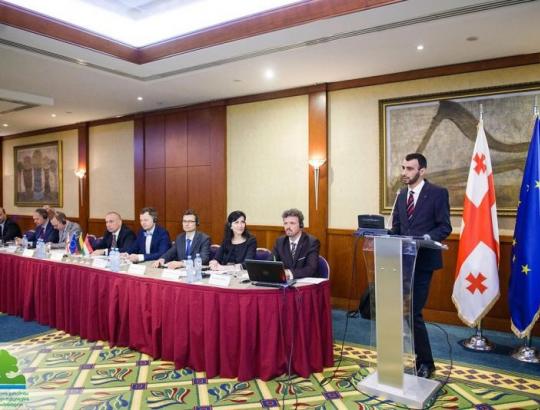 AM: Gruzinai iš lietuvių mokysis, kaip išvengti miškų valdymo klaidų