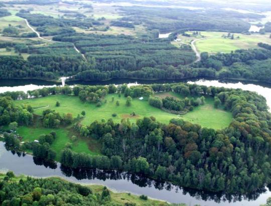 Ar žinote, kaip kito šalies miškingumas ir formavosi miškų priežiūra Lietuvoje?