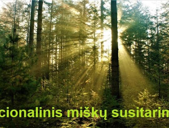 Nacionalinio miškų susitarimo link: 6 NMS koordinacinės grupės susitikimas