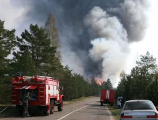Neringos savivaldybės merui nerimą kelia priešgaisrinė būklė Kuršių Nerijos miškuose