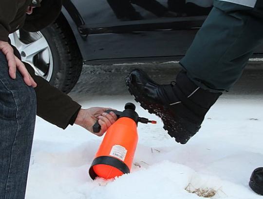 SVARBU: Dėl afrikinio kiaulių maro grėsmės darbus miškuose būtina derinti  su veterinarijos tarnyba