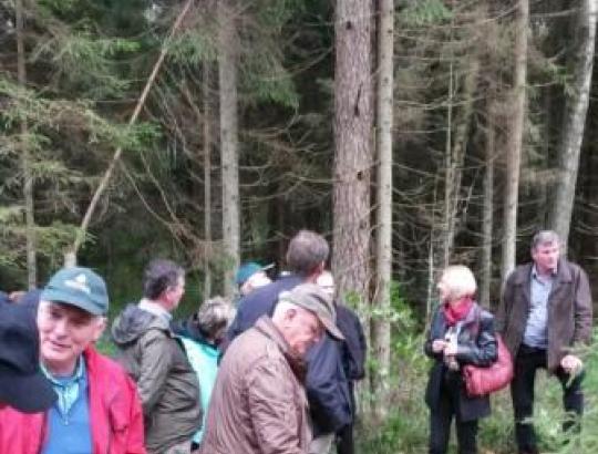 Vokietijos miško savininkai domisi Lietuvos miškininkyste