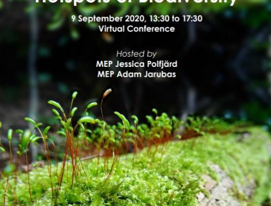ES surengta konferencija  „Europos miškai: biologinės įvairovės židinys“.