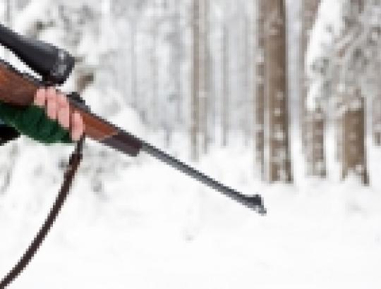 Aplinkos mininistras nustatė 10-riopai didesnes baudas už brakonieriavimą