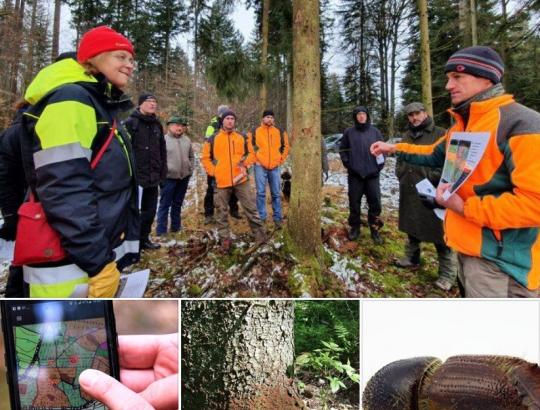 Švedai domisi vokiečių kolegų patirtimi tvarkant kinivarpų pažeistus miškus