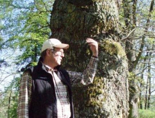 CEPF prezidentas C.Segersteen: Europos privatūs miškai - patikimose rankose