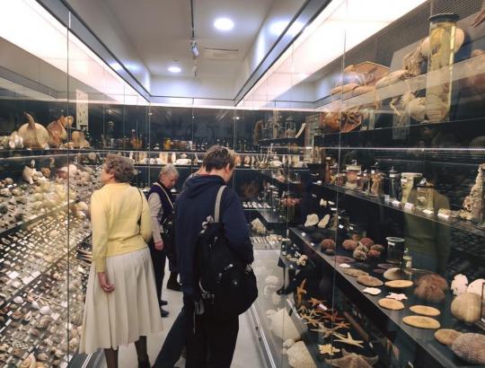 Artėjant Pasaulinei Žemės Dienai oficialiai atidaryta VU Zoologijos muziejaus ekspozicija