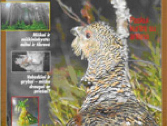 Tarptautiniams miškų metams skirtame žurnale "Mokslas ir gyvenimas"- naujausia informacija