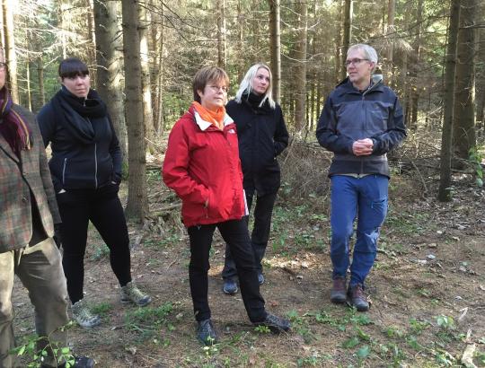 Lietuvos miškų savininkai apmokestinami stipriau, nei Švedijoje