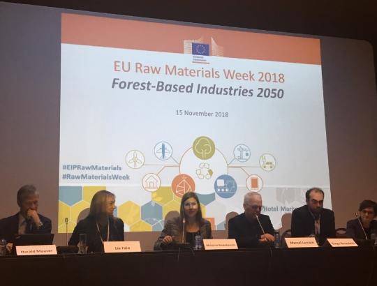 Parengta ir pristatyta naujoji Europos medienos pramonės Vizija 2050