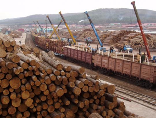Toliau augantis žaliavinės medienos eksportas į Kiniją neramina pramoninkus