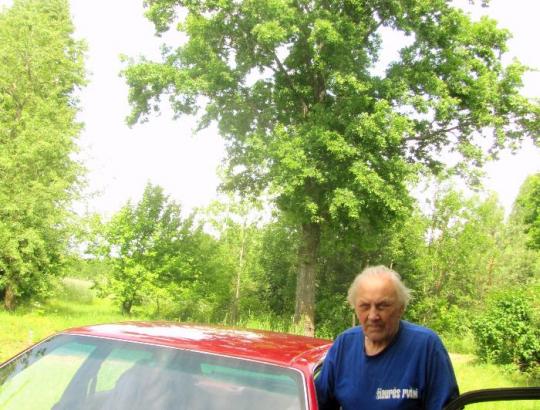 J.Dagilis: Tautos istorija ir medžių šakose bei šaknyse persipynusi