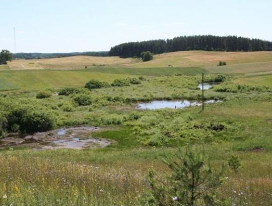Aplinkosaugininkai Lietuvoje siekia įdiegti dar vienas saugomas teritorijas - ekologinius tinklus