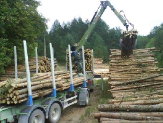 VŽ: Dėl geležinkelio remonto darbų UAB Bangenė dirba tik trečdaliu pajėgumų
