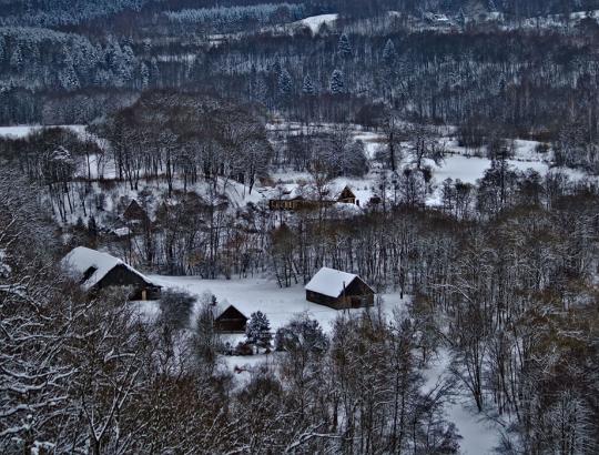 Š.Laužadis: Nuo neatmenamų laikų giriose, kur tik buvo įmanoma, gyveno žmonės