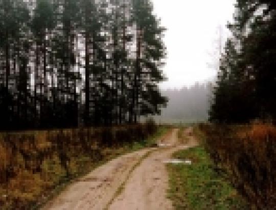 LR Vyriausybė priėmė sprendimus dėl valstybinės žemės ir miškų pardavimų aukcionų