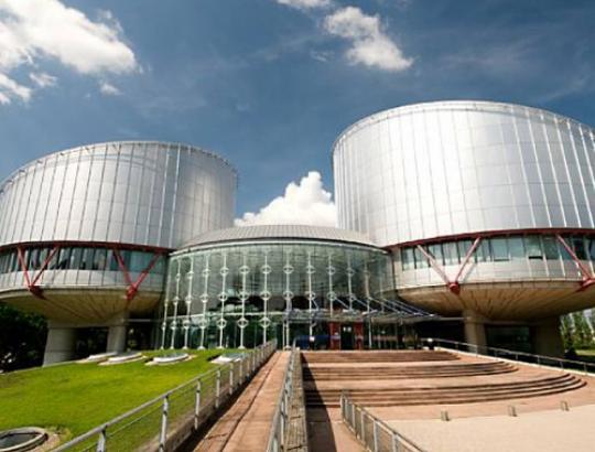 EŽTT - palankus pareiškėjui sprendimas byloje prieš Lietuvą dėl delsimo atkurti nuosavybės teises.