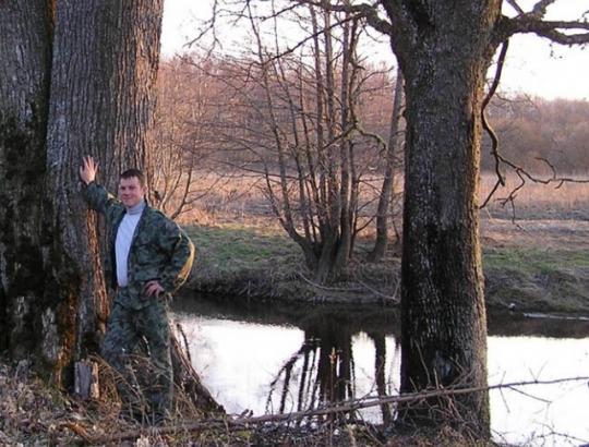 Neseniai sodinti miškai jau praaugo sodintojus