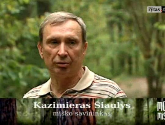 LrytasTV laidoje "Mūsų miškai" 2015-09-06: Ar miškų teritorijas galima apsaugoti tik draudžiant?