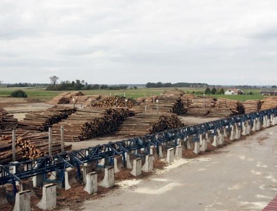 Rinkoje- augantis nerimas dėl G.Kaminsko lentpjūvės 