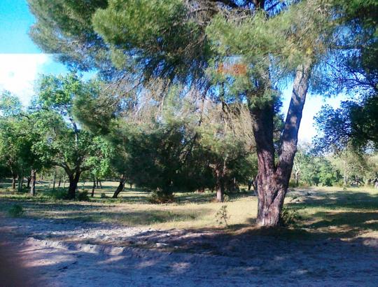 Portugalijos žemių ir miškų savininkai su koktumu prisimena komunistų vykdytos nacionalizacijos dešimtmetį