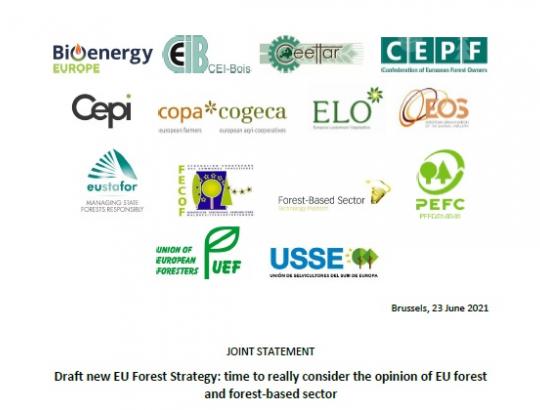 Naujos ES miškų strategijos projektas: laikas iš tikrųjų atsižvelgti į ES miškų sektoriaus nuomonę