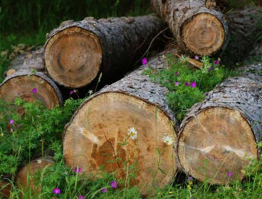 Urėdijos džiaugiasi sėkmingesniais 2012 m. II pusmečio aukcionais ilgalaikėms sutartims sudaryti