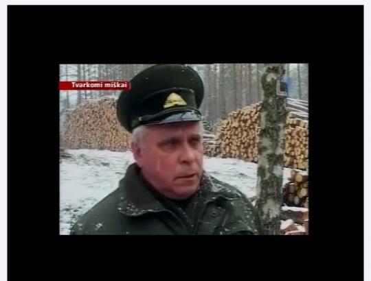 Urėdijos džiaugiasi, kad stichijos nusiaubti valstybiniai miškai beveik sutvarkyti