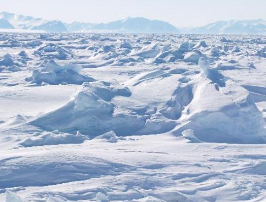 Pasigirdo mokslininkų prognozių apie 2014 atslenkantį ledynmetį