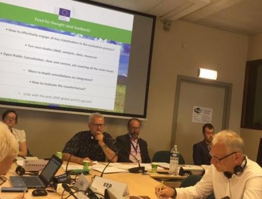 EK Miškų ir medžio kamštienos Socialinio dialogo grupės (Forestry&Cork SDG) posėdis