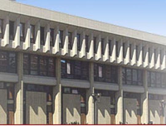 Seimas koreguos Miškų įstatymą