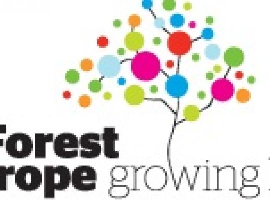 Osle susirinkę Europos ministrai nusprendė parengti tarptautinį susitarimą dėl miškų apsaugos 