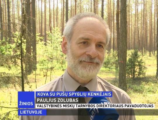 Vykdytas verpiko vienuolio pažeistų pušynų aviacinis purškimas biologiniu preparatu