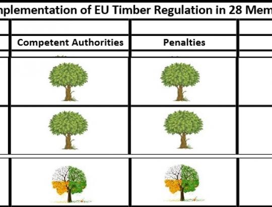 EK įvertino, kaip sekasi įgyvendinti  ES medienos reglamento reikalavimus