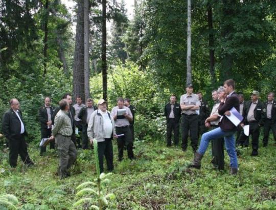 Trakų MU susirinkę urėdijų  miškininkai aptarė miško kirtimų problemas