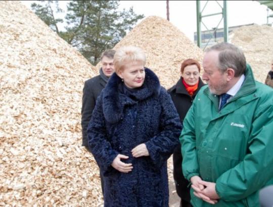 Prezidentė  įžvelgia augantį šilumos ūkio ir biokuro tiekimo rinkos monopolizavimą