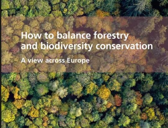Kaip subalansuoti miškininkystę ir biologinės įvairovės išsaugojimą?