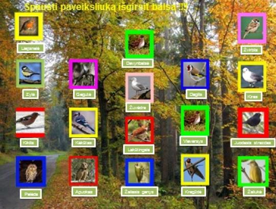 Išmokime atpažinti paukščių giesmes