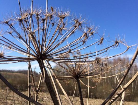 Aplinkos ministerijos vadovai penktadienį rinkosi kitus darbus, nepasinaudojo proga pabendrauti su miškų savininkais