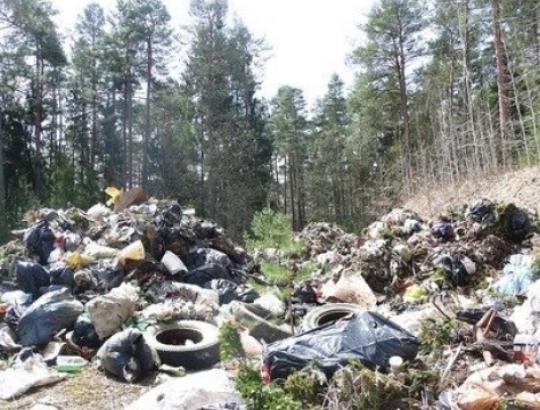 Aplinkos ministras V. Mazuronis neketina nuolaidžiauti mišką prišiukšlinusiai bendrovei "EKONOVUS"