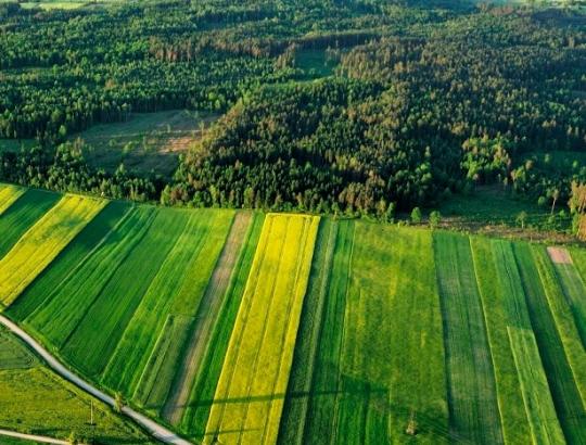 NMA: Prasideda žemės ūkio naudmenų ir pasėlių deklaravimas 