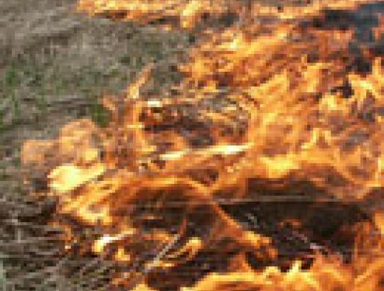 Geros agrarinės būklės palaikymas deginant žolę gręsia rimtomis sankcijomis