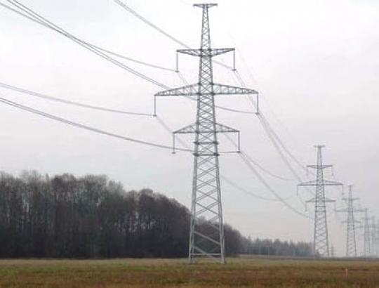 Nesutarę su savininkais energetikai šluoja privačius miškus Klaipėdos raj.